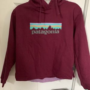 Patagonia Sweatshirt